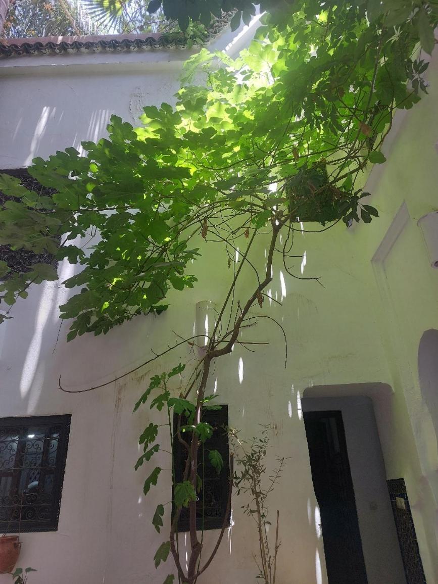 Riad Dar Lalla Fatna Marakéš Exteriér fotografie